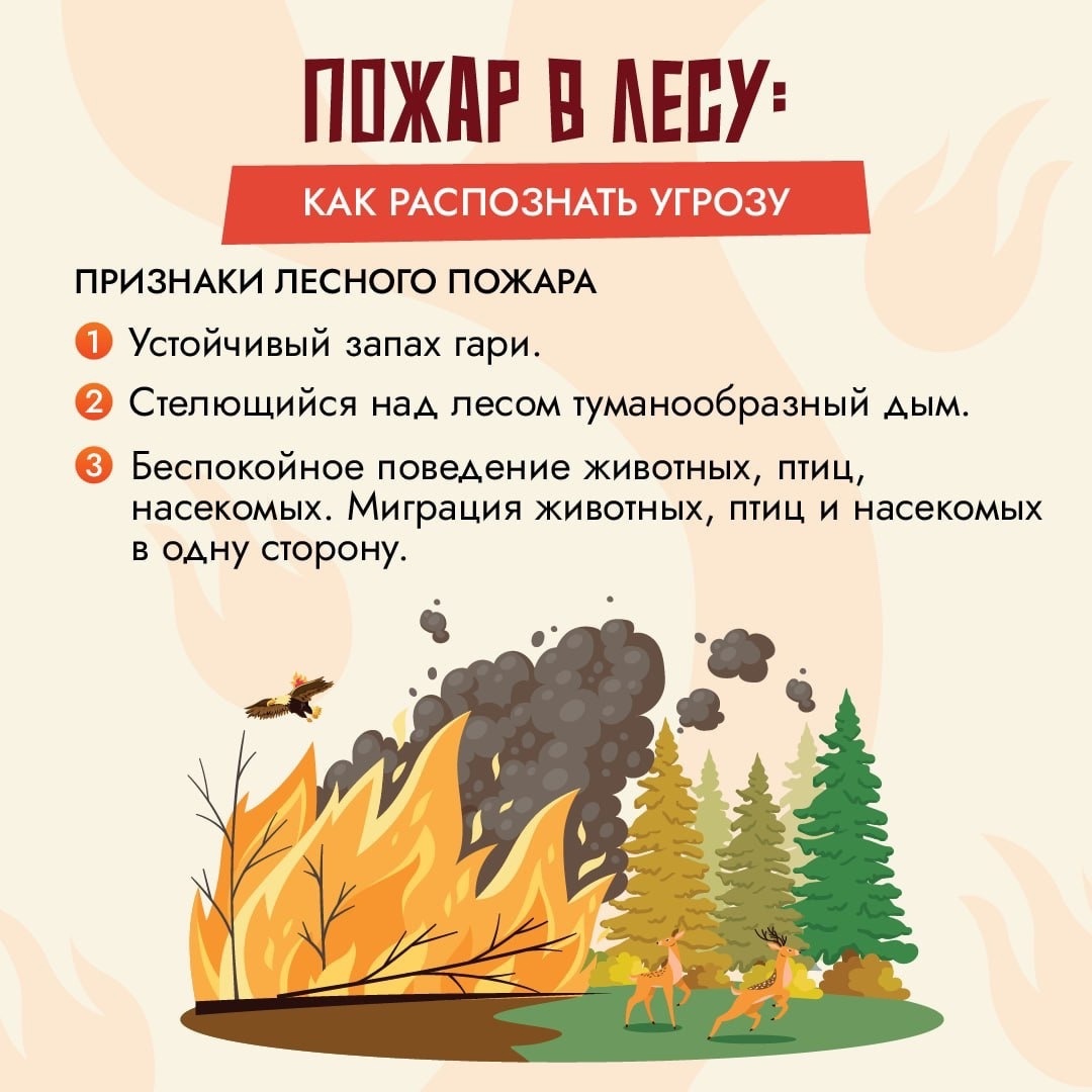 Бережем природу от пожаров.