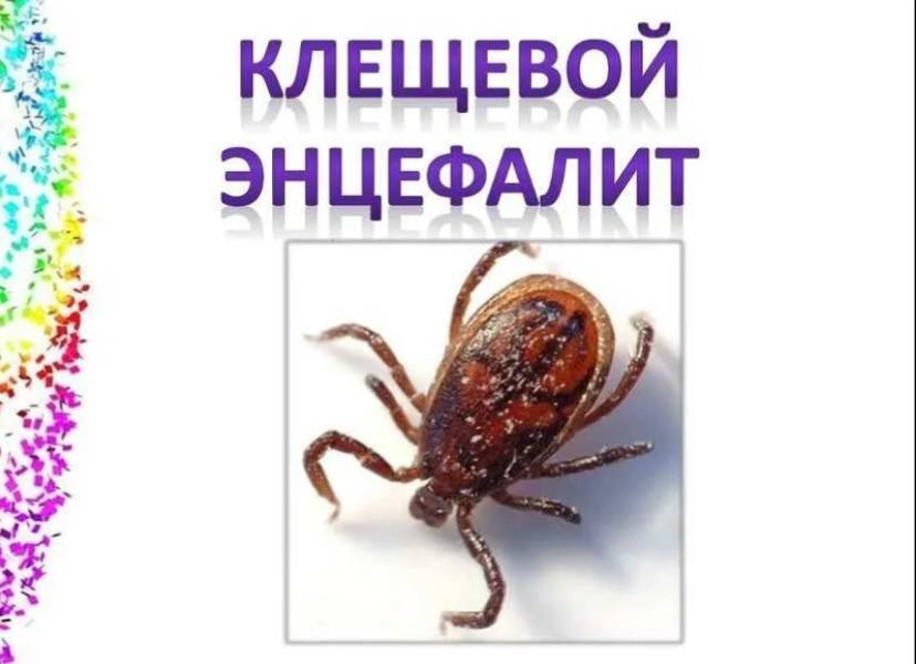 Профилактике и лечению клещевого энцефалита.